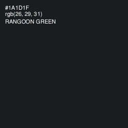 #1A1D1F - Rangoon Green Color Image